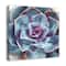 Purple And Teal Succulent 20" x 20" Canvas Wall Art
